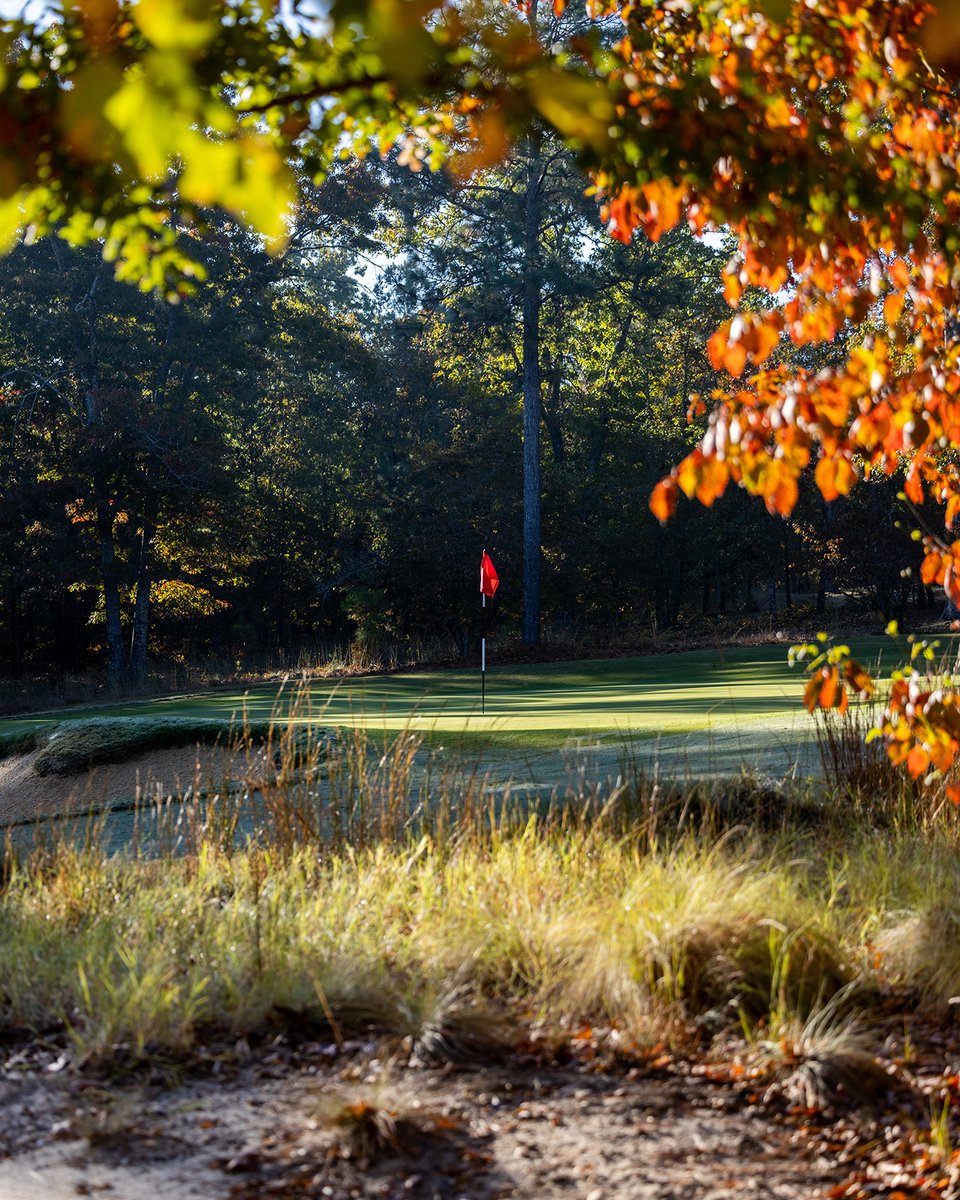Autumn brings a special feeling to the pines that's hard to replicate.