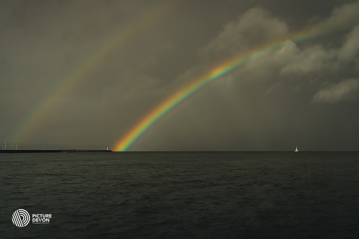 Picture Devon 🇺🇦 tweet media