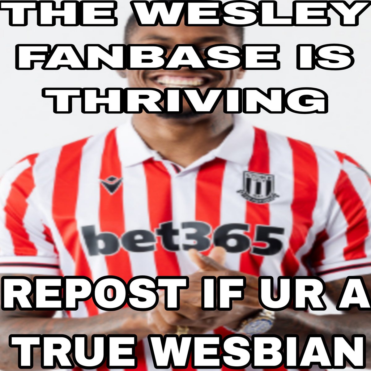 stanleypulis's tweet image. 