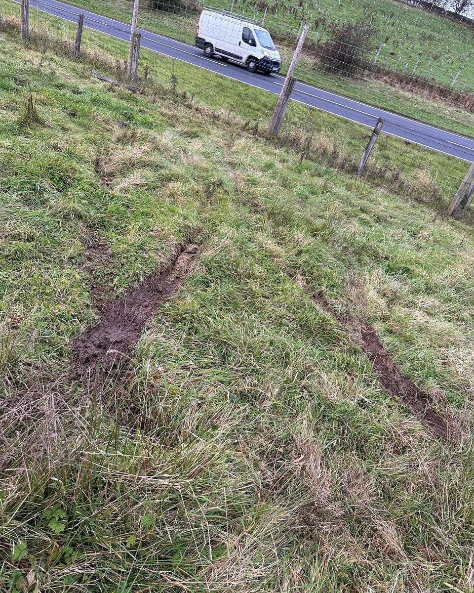 Alpacaly Ever After tweet media