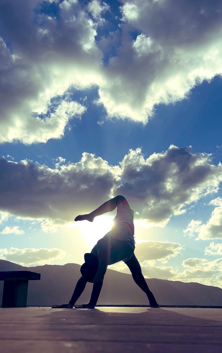 yu_machida_'s tweet image. 奄美大島行った時に撮ったスコーピオン🦂
ナイスアングル👍

#animalflow
#アニマルフロー