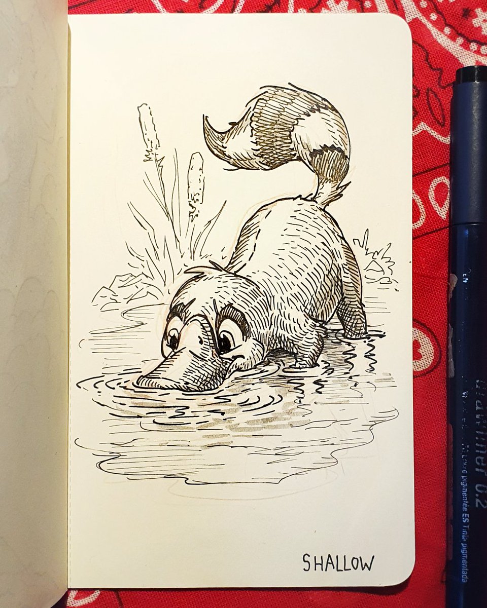 storygiantgames's tweet photo. 🎨SHALLOW #inktober
Here's a little Platicoon foraging in shallow waters. You can find this creature in Text Express!
#inktober2023 #inktober2023day24 #inktobershallow #TextExpress https://t.co/LiEFkPuLqO