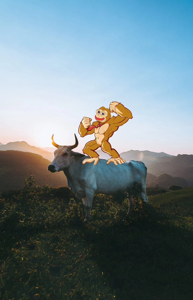 The Monke tweet media