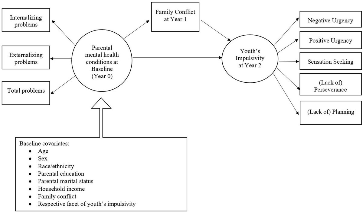 🚨🚨my first paper using #ABCD study is out, with many thanks to <a href="/wesstat/">Wesley Thompson</a> <a href="/DibGoncalves/">Priscila Dib Goncalves</a> <a href="/rickcruzphd/">Rick Cruz</a> <a href="/LeemanRobertF/">Robert Leeman</a> &amp; the ABCD START fam

we find that family conflict may be a key intergenerational link between parental mental health &amp; youth's impulsivity rb.gy/n8f6n
