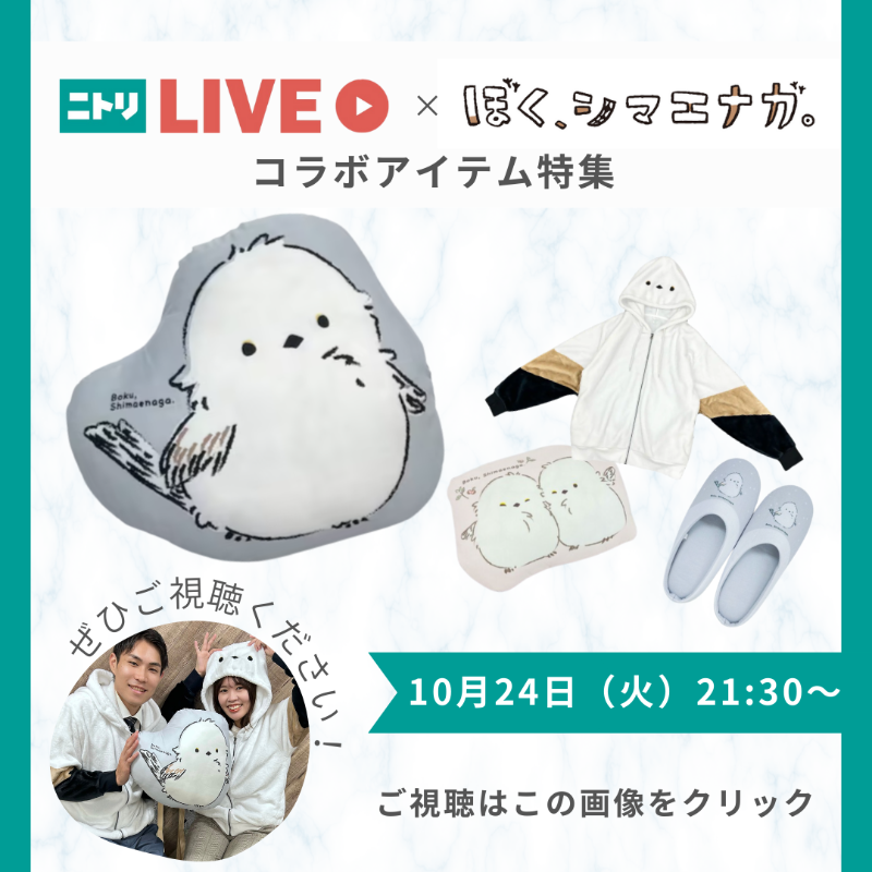 NitoriOfficial's tweet photo. \✨10月24日21時半から生配信✨/

🔔ニトリライブは役立つアイテムやお得な情報を毎週配信🔔
本日はXで大人気の「ぼく、シマエナガ。」さんとのコラボ商品特集🐦

ニトリネット限定販売のかわいいシマエナガアイテムを沢山ご紹介します✨

画像をタップしてニトリLIVEへ！！

ぜひご覧ください☺️
