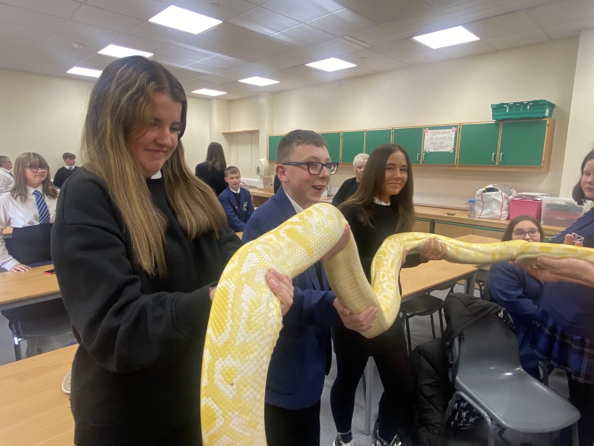 social_sahs's tweet photo. Just hanging around with our new friend Julius Squeezer the Viper 🐍 🤩

#Juliussqueezer @StAndrewsHS #animals #coolcreatures #geography https://t.co/dQ7warfVHu