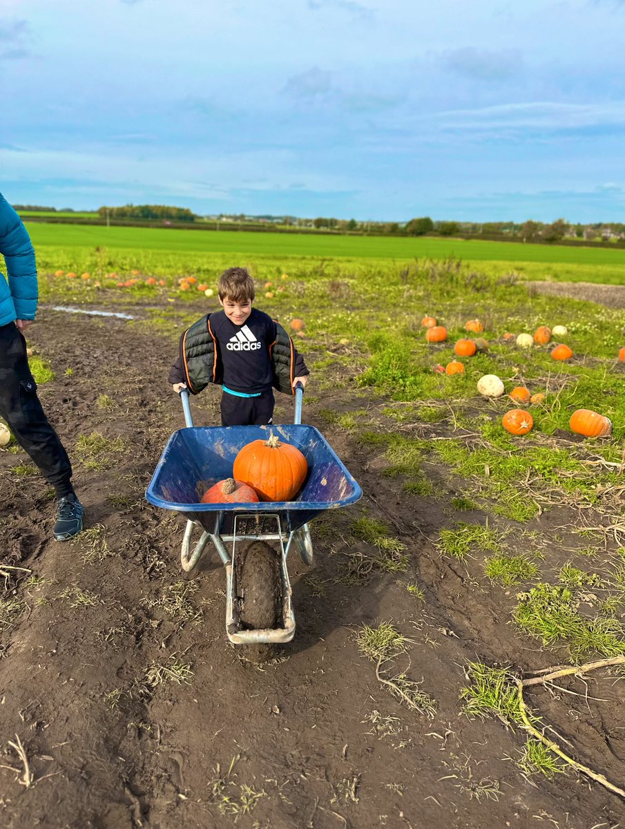 PennyPetta's tweet photo. Pumpkin picking yesterday 🎃 such a lovely day we had x @parishschool1 @MrMolyneux https://t.co/t8Gt04KLbK