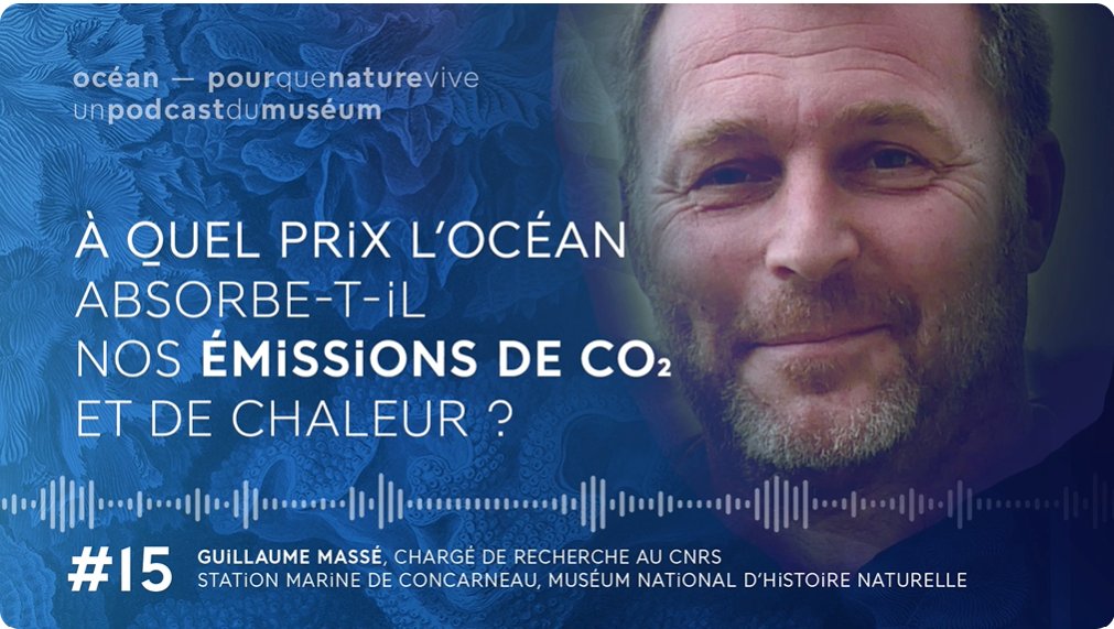 🌡️ L'océan absorbe 90 % des excès de chaleur sur Terre. Quelles conséquences ce rôle a-t-il sur l'équilibre de l'#Océan ? Éclairage avec Guillaume Massé, chargé de recherche au <a href="/CNRS/">CNRS 🌍</a> et basé à <a href="/SBM_Concarneau/">Marinarium</a>, dans le podcast #PourQueNatureVive 🎧👉 youtube.com/watch?v=aD7z7U…