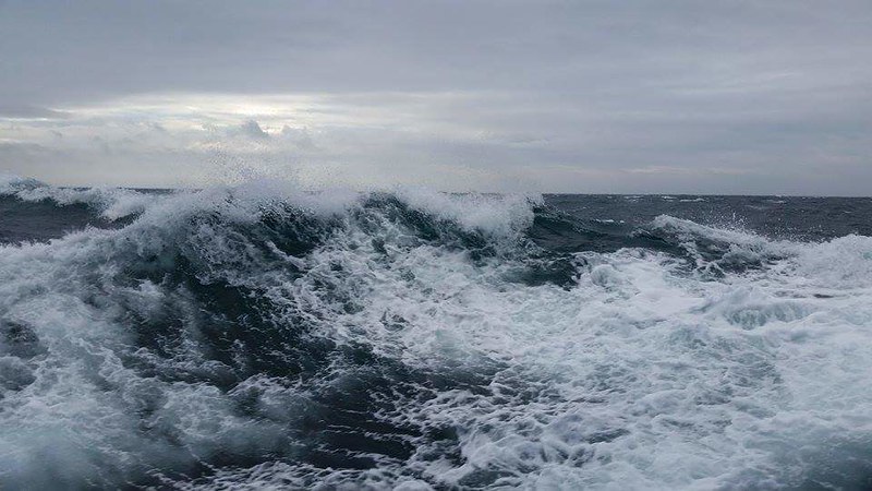 Scot Gov Marine tweet media