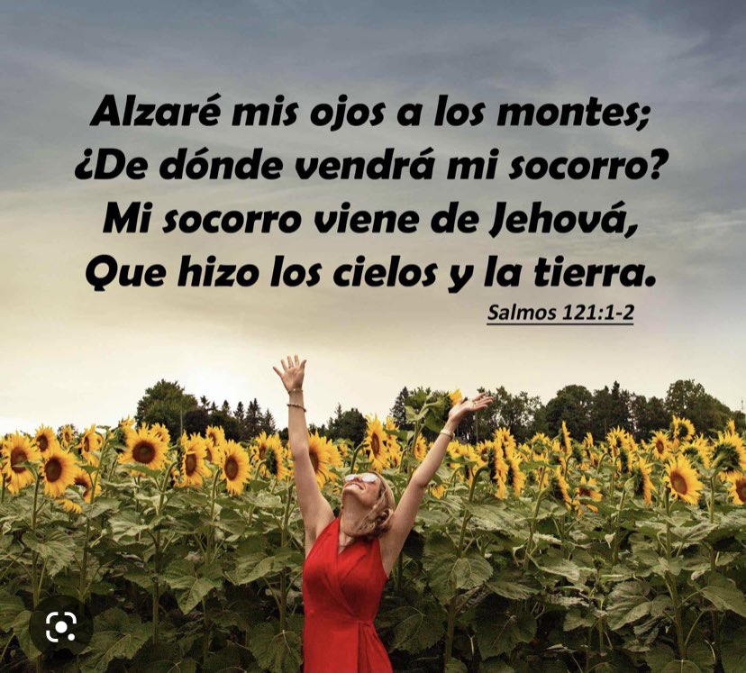 83egonzalez's tweet photo. @shakira https://t.co/0CdO8o57bm
