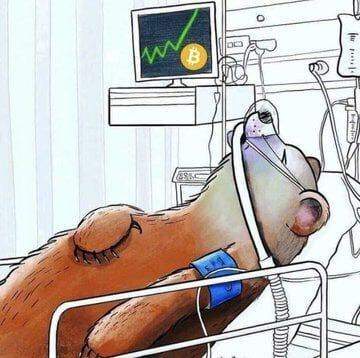 #Bitcoin is up nearly 25% in the past 7 days

Disbelief 🚀