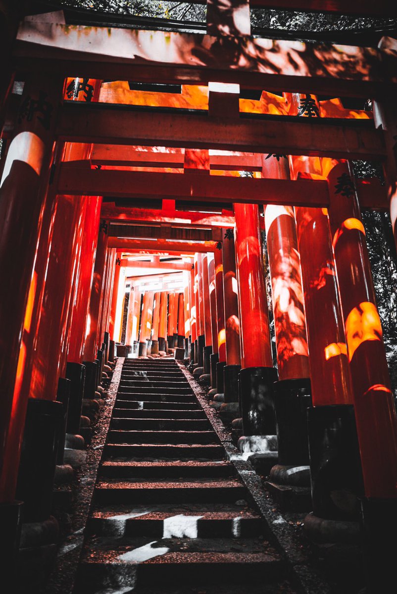 「Fushimi Inari」|Runamonetのイラスト