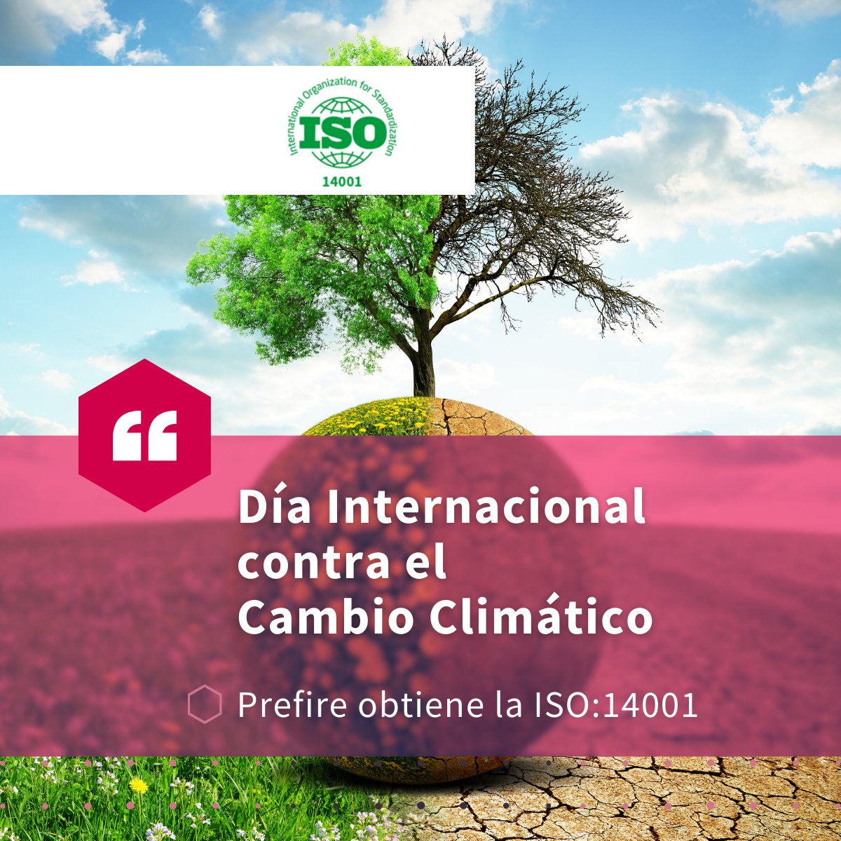 🌍 En este Día Internacional contra el #CambioClimático, en Prefire nos enorgullece compartir que hemos logrado la certificación ISO 14001, reafirmando nuestro compromiso ambiental. ¡Juntos por un planeta sostenible! 🌱 #ISO14001 #Prefire