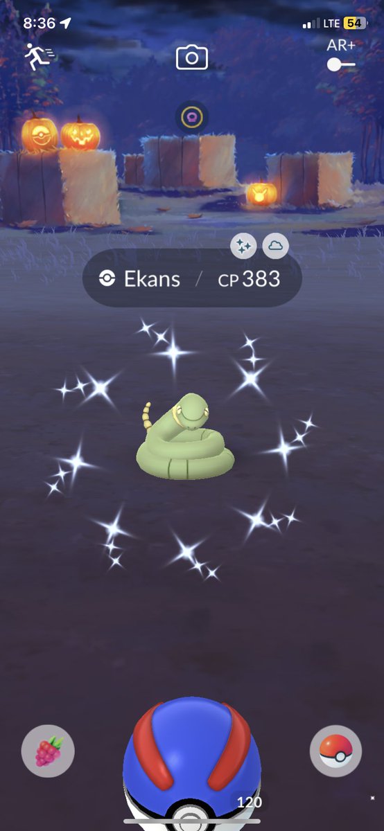 My first shiny Ekans ✨ #Pokemon #PokemonGO #ShinyPokemon