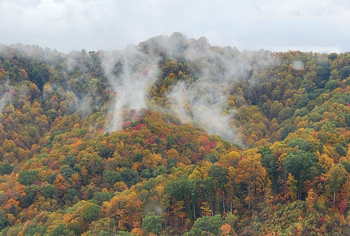 Morning all. From wild and wonderful West Virginia