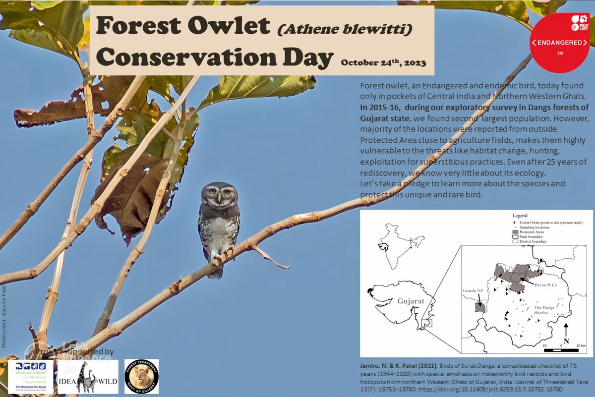 kaushalgpatel4's tweet image. Forest Owlet Conservation Day, 2023
#forestowlet
#conservation 
@DCFDangsouth @DCFDangnorth 
@GujForestDept 
@agnee_cool @anand_ifs 
@IDEAWILD