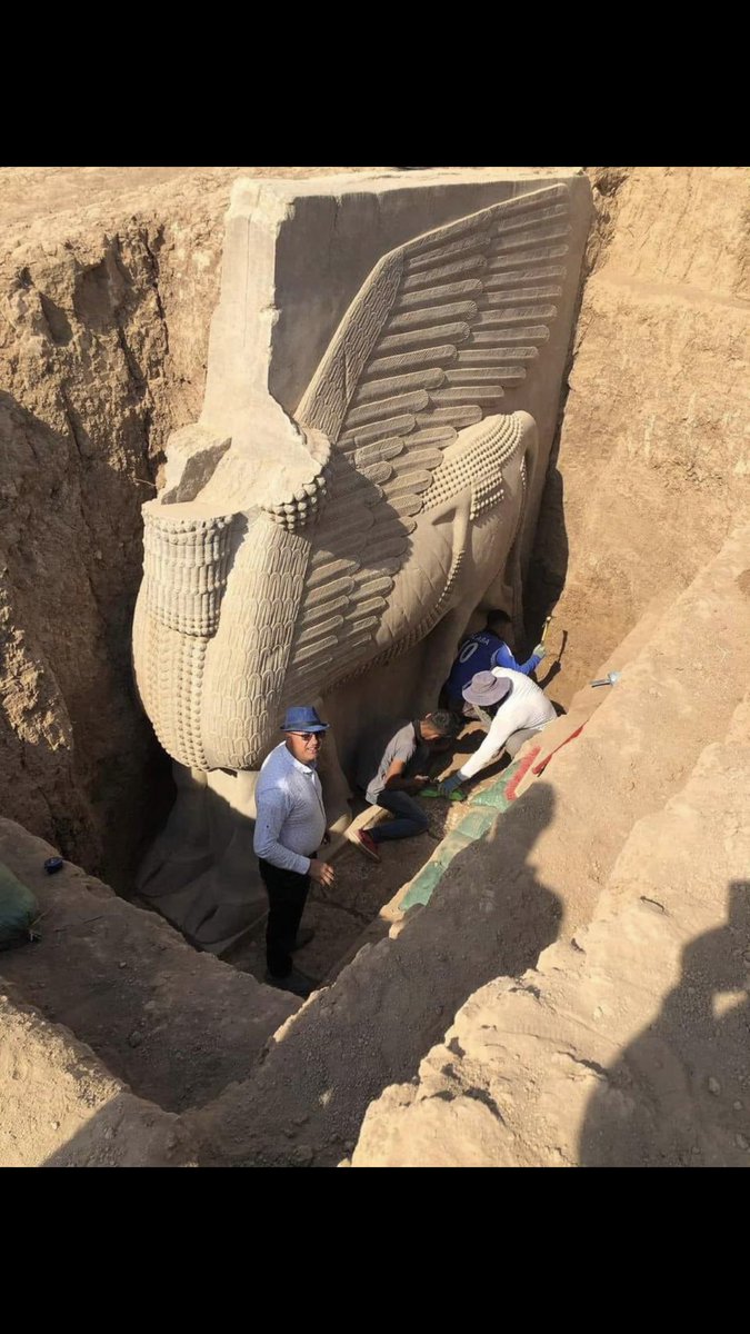 اكملت البعثة الفرنسية اعمالها اليوم في المنطقة الأثرية كما اكملت  اعمالها في الثور المجنح لاماسو  بمنطقة خورسيطاد