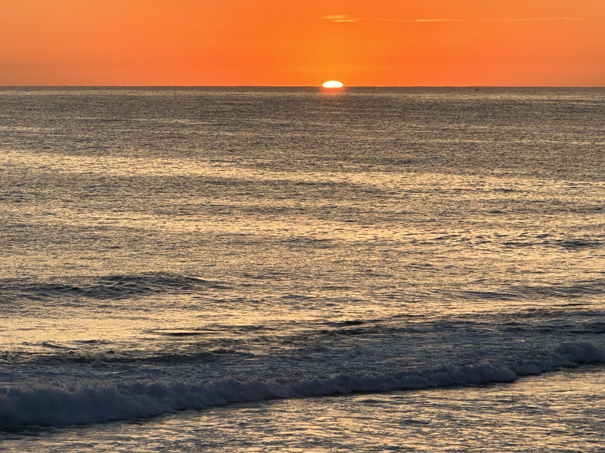 Bishan Rajapakse tweet media