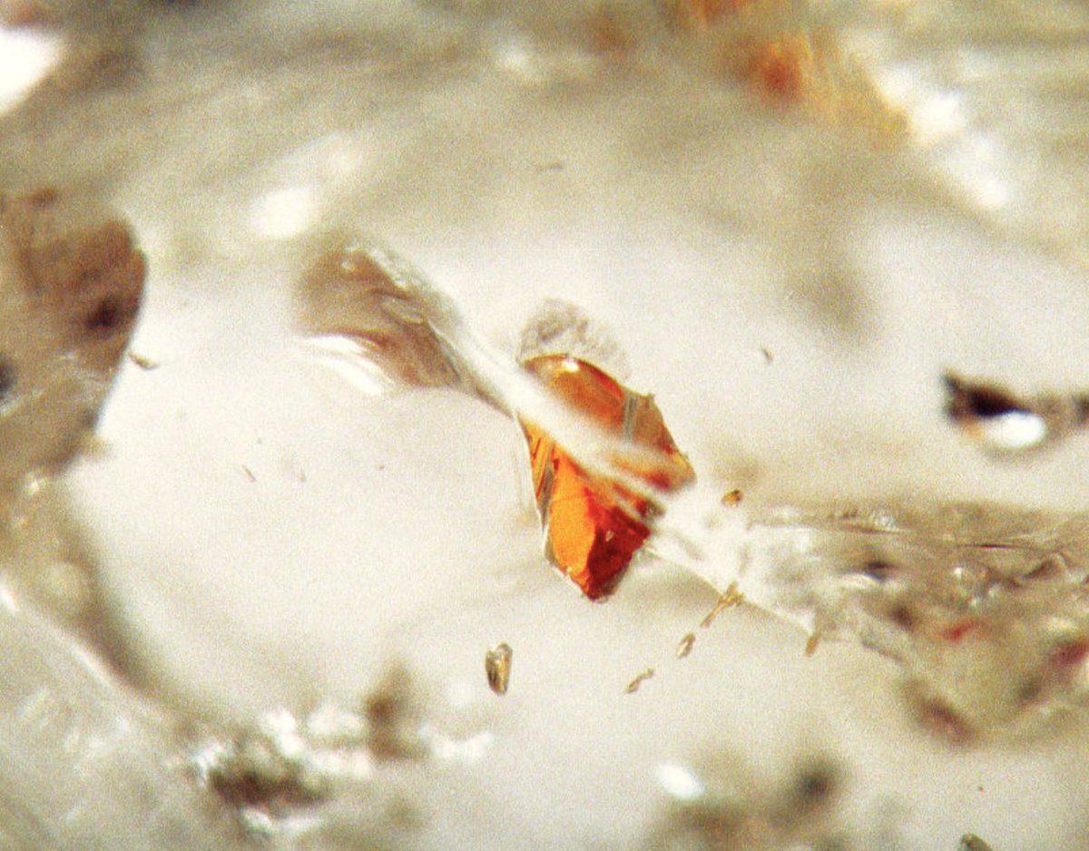 EquityDiamond's tweet image. #KnowYourDiamonds
#Diamond #Inclusions

Crystal inclusions in diamonds are tiny crystals of other minerals that are trapped inside the diamond as it forms deep beneath the Earth's surface. 

These inclusions can be a variety of different colors and sizes, and they can be visible