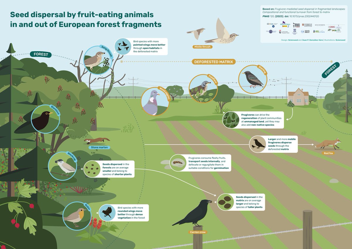 PAISAJE lab tweet media