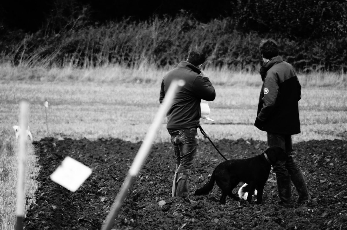 herts_agri's tweet image. A great day on Saturday judging this year's Hertfordshire County Ploughing Match. A great turn out and some even better ploughing. #ploughingmatch #hertfordshire #codicote