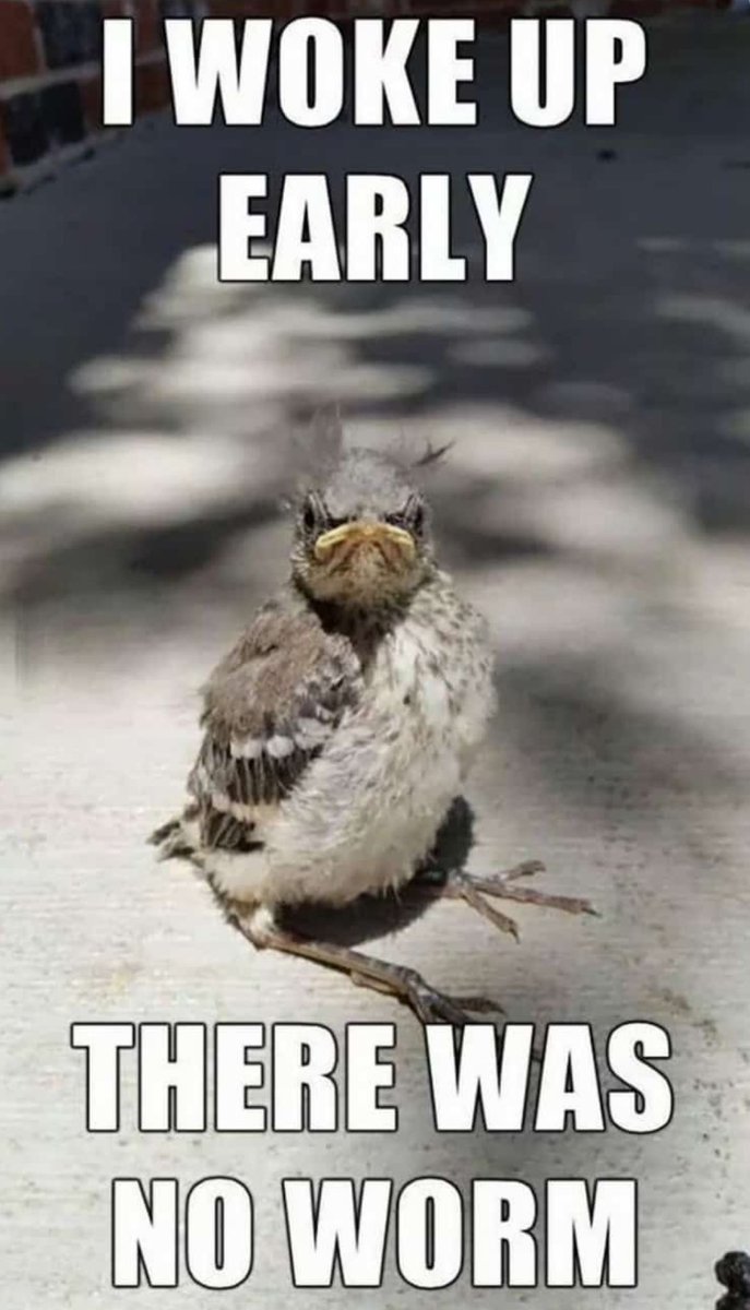 007_ants's tweet image. Have a good day my twitter friends #KeepStrong #BeKind #MakeSomeoneSmile👌🏼👍🏼