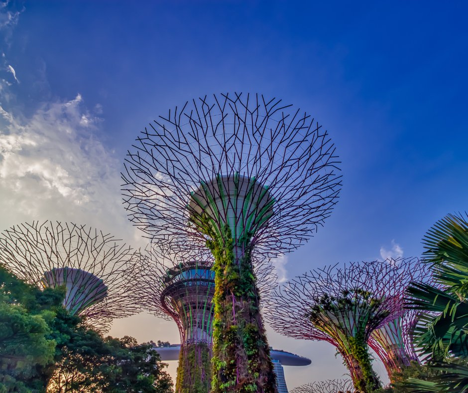SeafoodExpoAsia's tweet photo. What was your favorite part about Singapore during #SEASIA23? Was there anything you did not get to do that you are hoping to do in the city next year during #SEASIA24? https://t.co/3eTNC94Op2