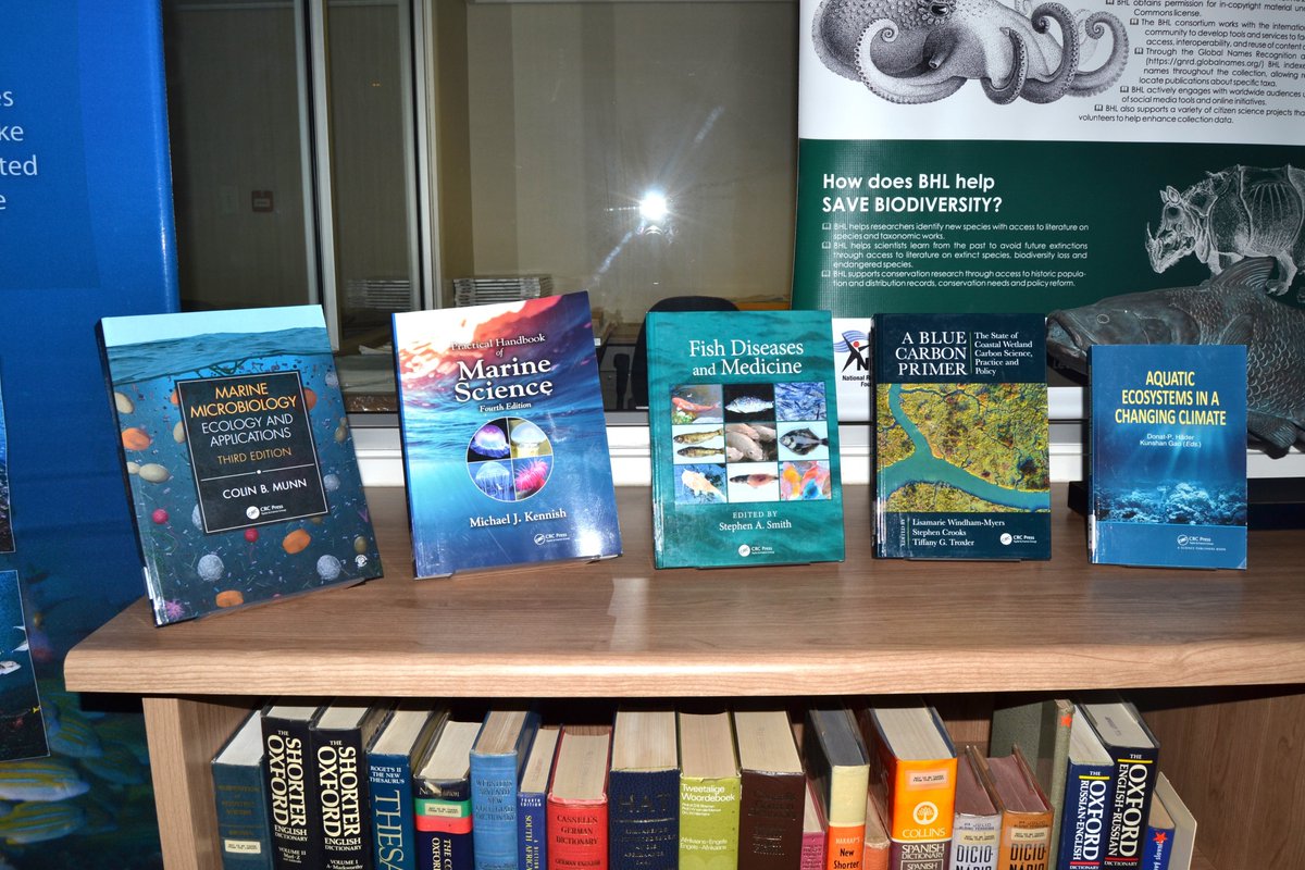 Check out what's new in the library🙂