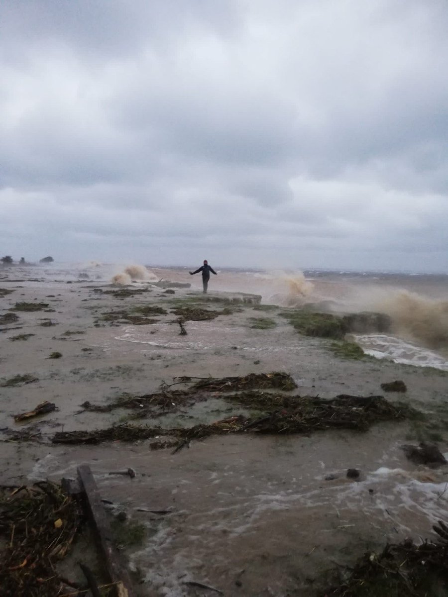 succow_stiftung's tweet photo. 💨 Der #Herbst ist turbulent auf der #InselKoos. Gerade erst waren Schwärme von Kranichen, Enten & Gänsen eingetroffen, da trifft auch schon ein #Sturm die Küste. Auch ein neuer #Freiwilliger ist auf der Insel eingezogen. 📣 https://t.co/wSPn9vf2wv #Naturschutzgebiet https://t.co/yxAEit4M3N