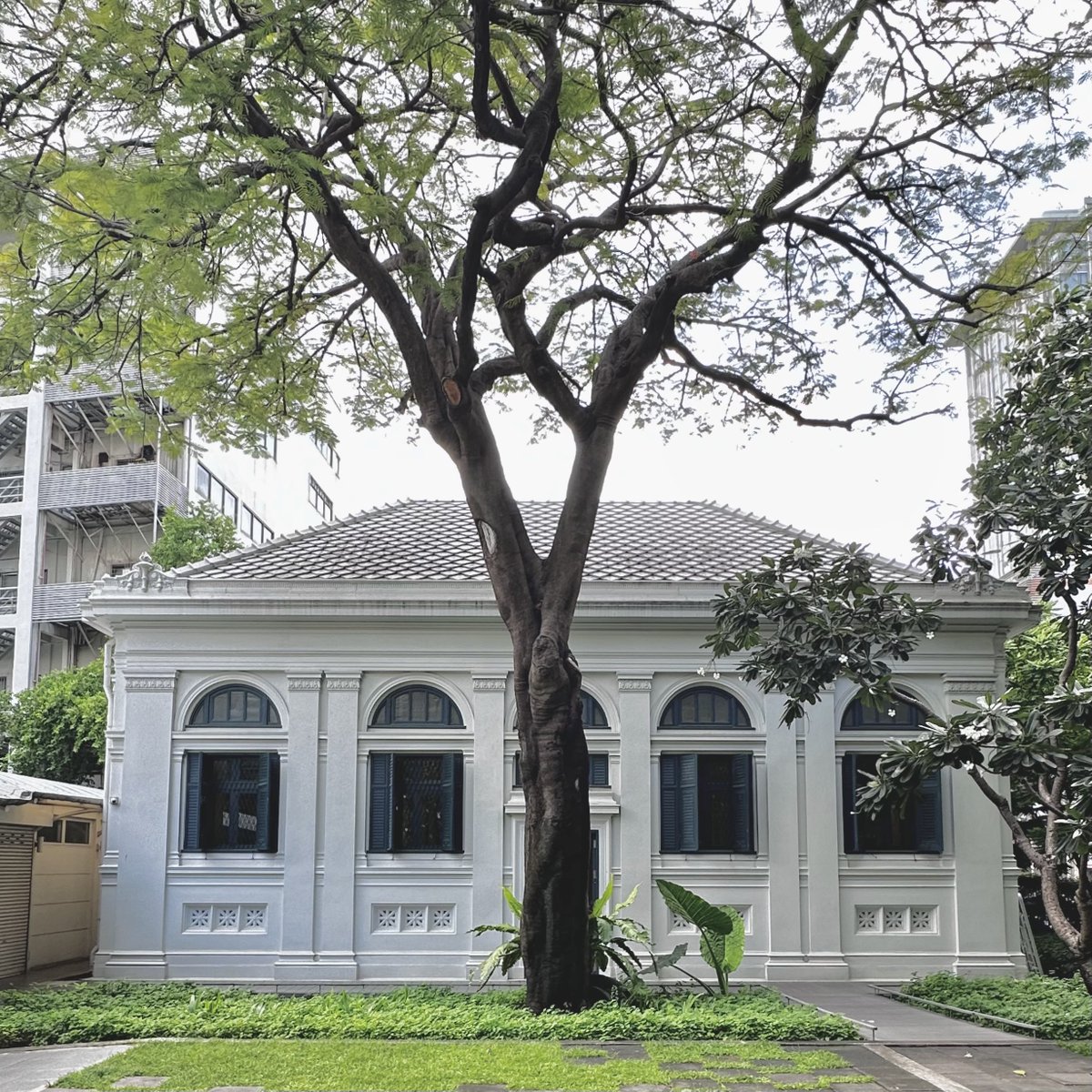 unknow_1902's tweet image. บอกว่าอยู่ไทยใครเค้าจะเชื่อ นี่คือห้องสมุดเนียลสัน เฮส์ (Neilson Hays Library) ตั้งอยู่ใจกลางกรุงเทพเลย มูดดีมาก ฟิลเหมือนอยู่ต่างประเทศ แนะนำไปช่วงสายๆหรือบ่ายๆ จะได้แสงที่สาดเข้ามาทางหน้าต่าง ถ่ายออกมาโครตสวยอ่ะ