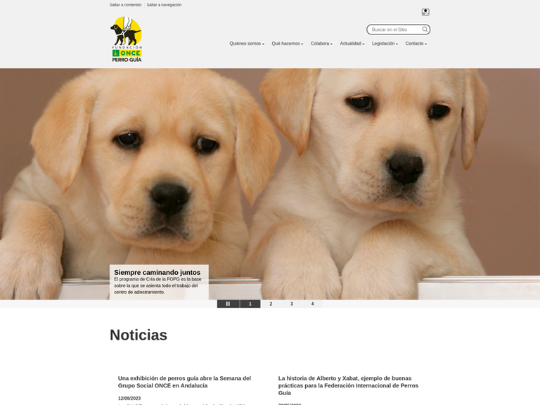 codesyntax's tweet photo. Fundación ONCE del Perro Guía (FOPG), creada con la finalidad de criar y adiestrar perros guía. Nueva web de la Fundación ➡️ https://t.co/G4EuexMIAN 🦮 👣 🐾
Info ➡️ https://t.co/2gnjVb7t9L
#once #guidedogs #dogs #igdf #FOPG #perrosguía https://t.co/fXleaYCyZ3