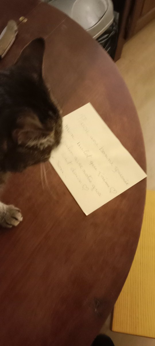 Don Grizzly Modeste tweet media