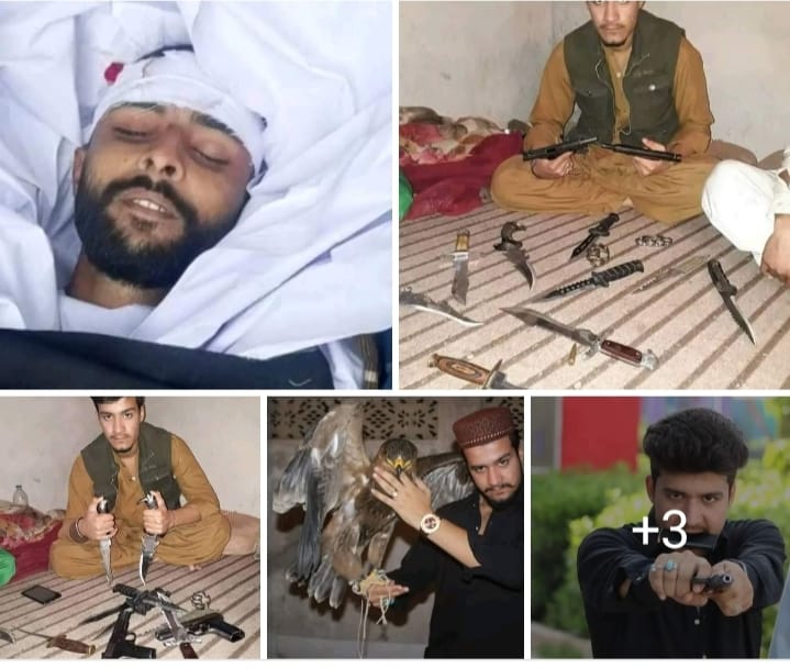 NazirLaghari's tweet photo. Afghani Terroirs Khalil Pathan kill the youngster Abdul Sami Bhutto
AFGHANI MUST LEAVE PAKISTAN https://t.co/ohoN2tyg4R