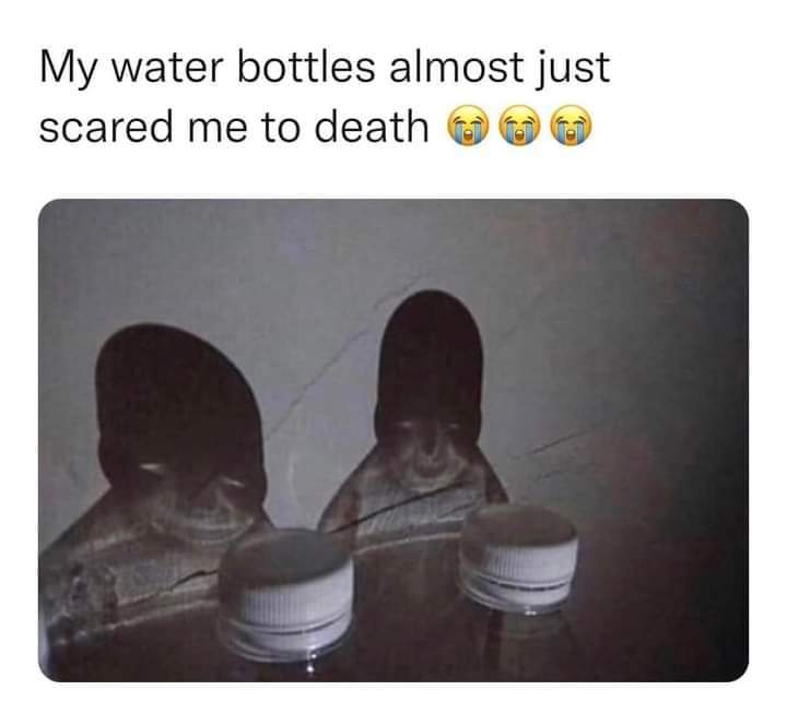 Memes_NextLevel tweet media