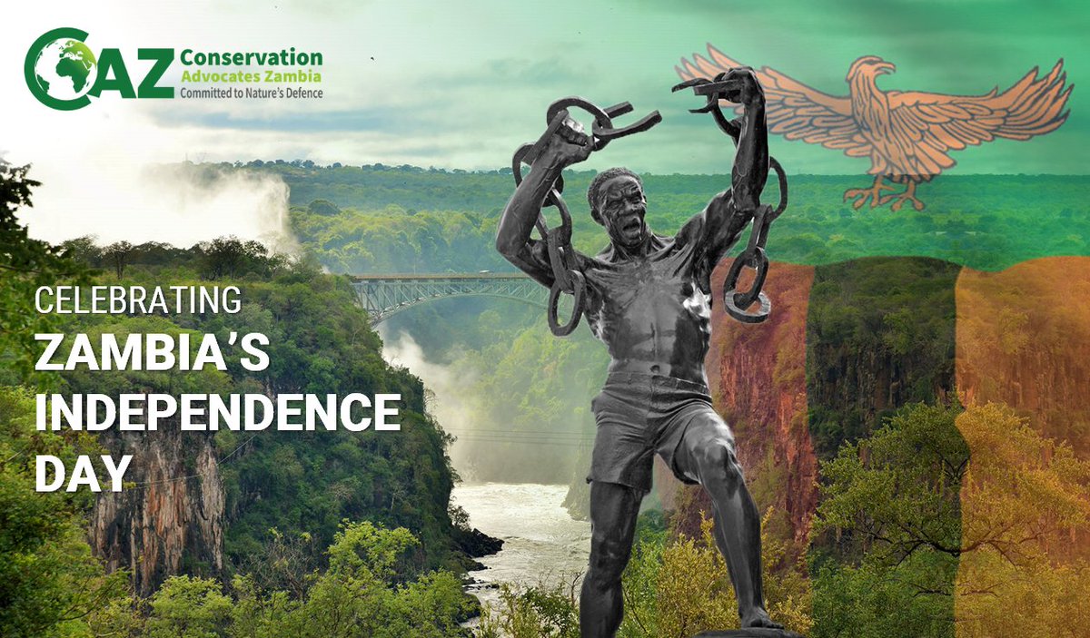 Conservation Advocates Zambia tweet media