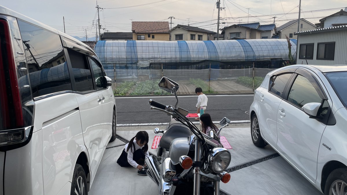 shakeshakessake's tweet photo. チビらがのびのびしてていい気持ち
ヒスはお出かけした https://t.co/4dTlwwpe2m