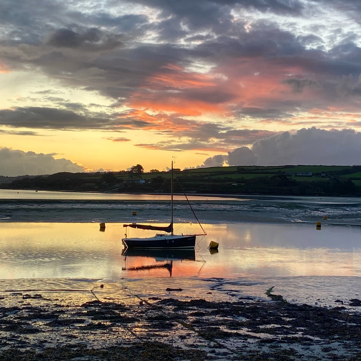 Beautiful Reds 🥰 #cornishshrimper #padstow #kernow #cornwall @beauty_cornwall 💕