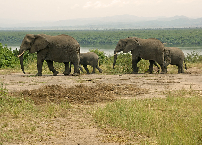 Hon.Bahinduka Mugarra Martin tweet media