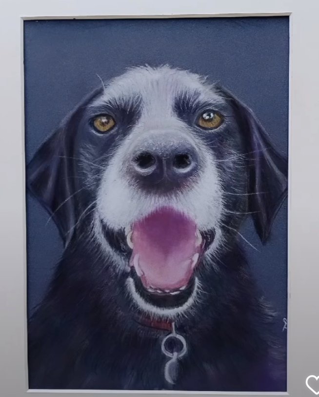 Armanimick's tweet photo. My friend got her doggie pic and loves it..... I'm just happy to get the practice with an emotional attachment to what I'm doing... https://t.co/5u9t1ja4wP
