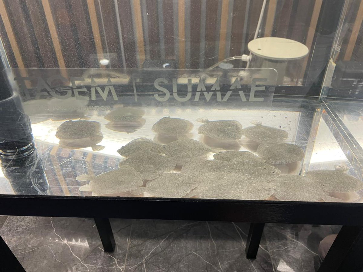 Thrilled to participate this week in the #Sofas2023 🐟🌊 Dive into a lineup of insightful sessions and engaging discussions on the latest in fisheries and aquaculture. <a href="/HamzaHoussam01/">Houssam HAMZA</a> <a href="/sofas_symposium/">SOFAS-2023</a> <a href="/slim_gana/">Slim Gana</a> <a href="/UN_FAO_GFCM/">General Fisheries Commission for the Mediterranean</a>