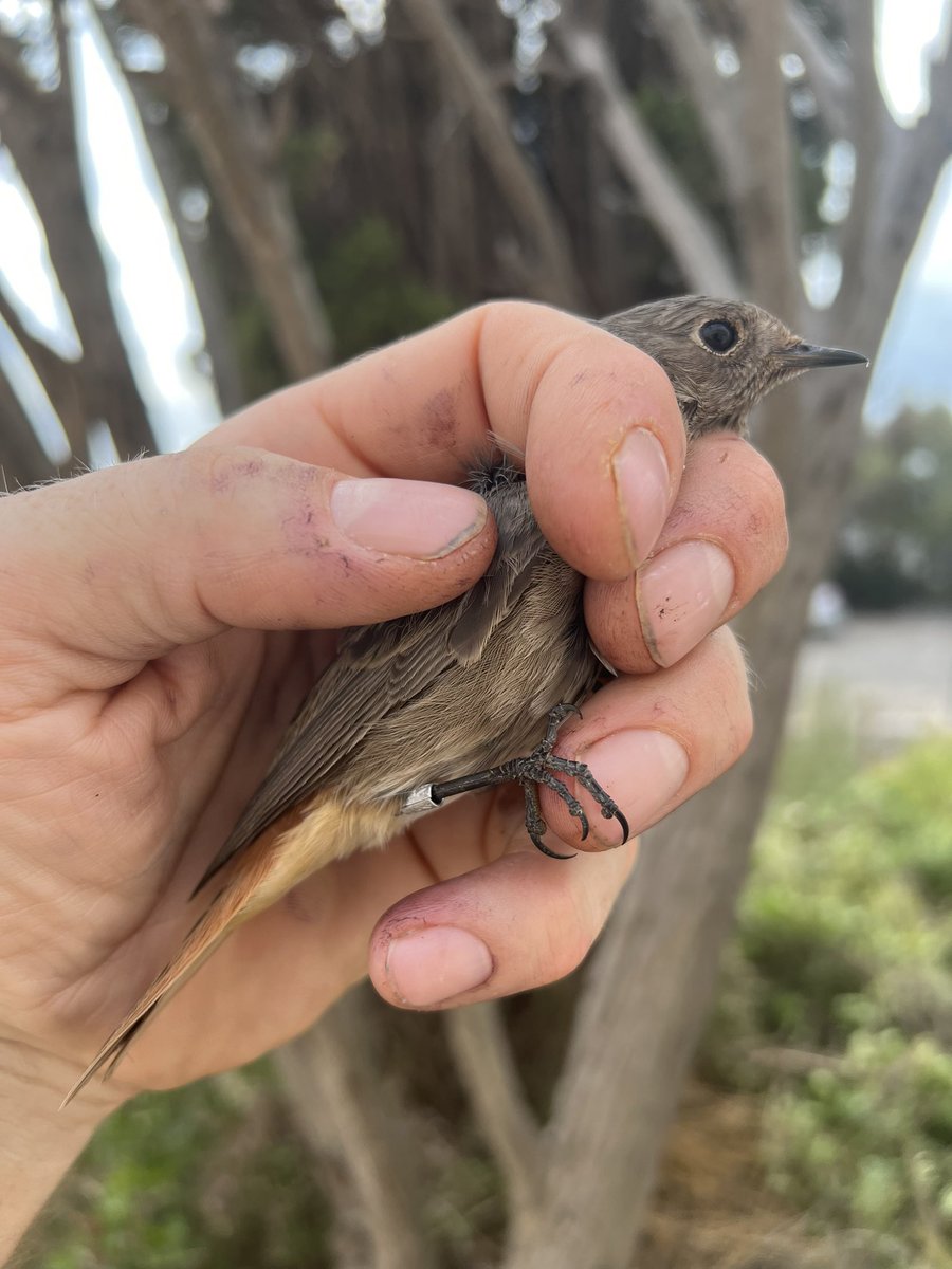 #mrmatt_ashman tweet media