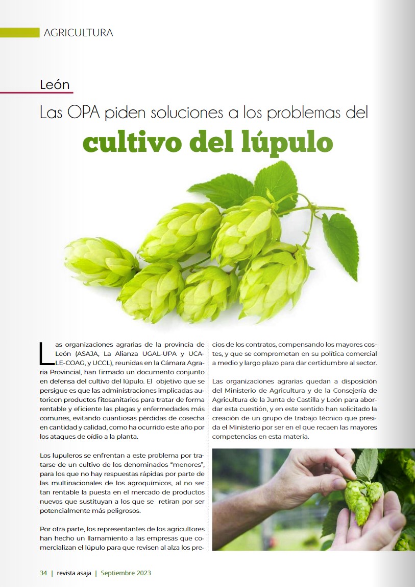 AsajaNacional's tweet image. Soluciones a los problemas del cultivo del #lúpulo 

Estas son las reclamaciones de las #OPAs de #León

👉ow.ly/YiiX50Q00hJ