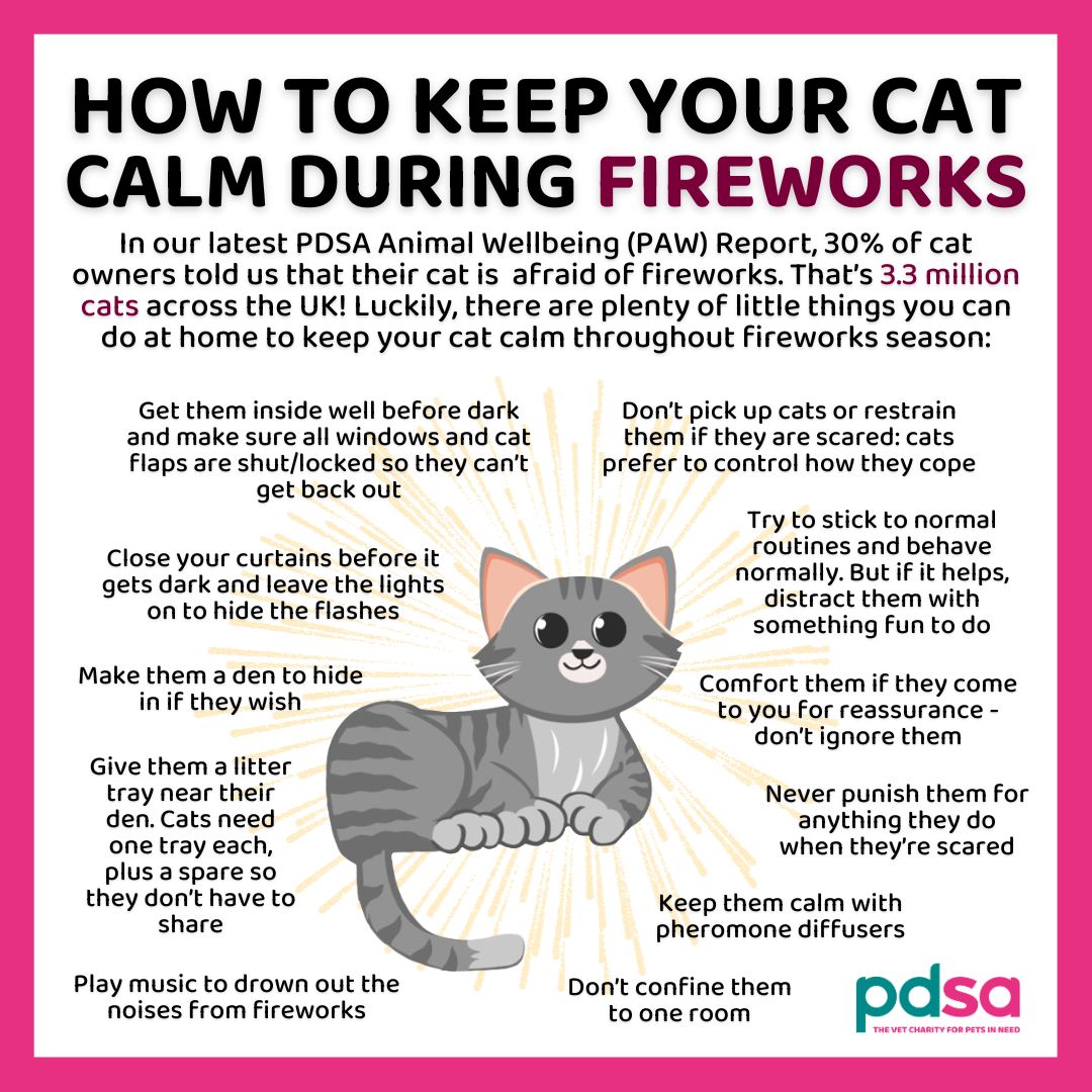 PDSA_HQ's tweet photo. The bright flashes and loud bangs of #fireworks can be exciting and fun for us but, for our #cats, they can be confusing and frightening 🎆😿

This is because it’s difficult for them to understand that they aren’t in danger when they hear or see them ⚠️

Read our Vets' advice 🐾 https://t.co/1TE7hgKlcg