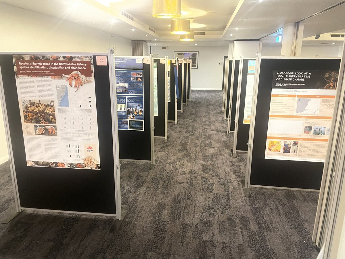 ICWL2023's tweet photo. Don’t  forget everyone, our poster session is tonight! Stick around if you want more information on the range of projects on display, and don’t forget to vote on your favourite poster! https://t.co/HR3WvaviQm