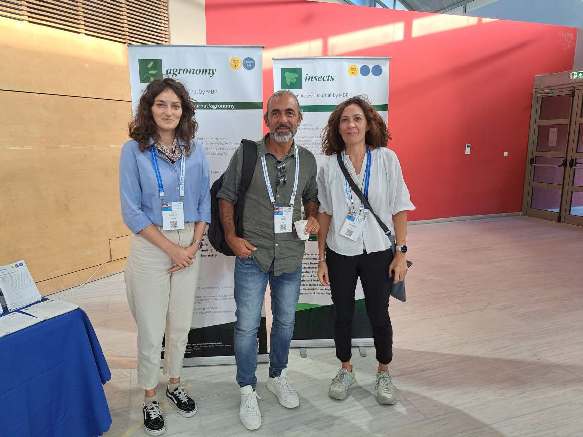 Agronomy MDPI tweet media