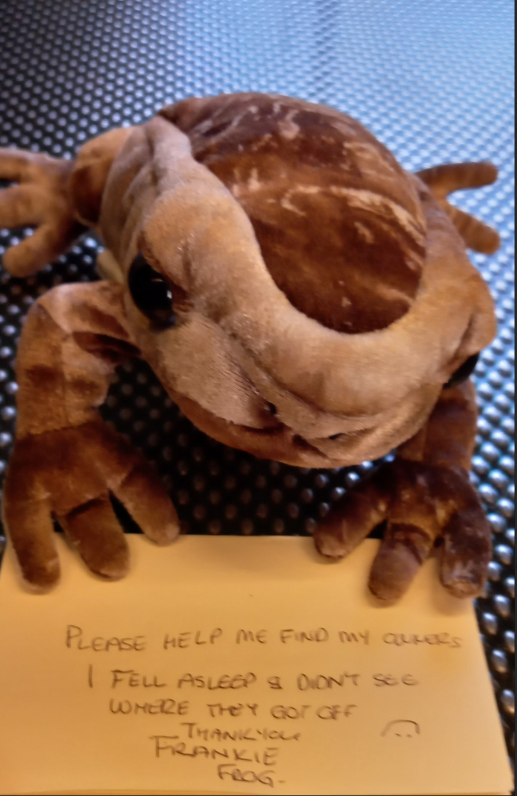 👋 Hi everyone, my name is Frankie the frog and I have lost my owners this morning 🥺

I hoping that by posting this message I may be able to find them. We were on a train from Brighton to Portsmouth at 0741.

Here's a photo of me 👇