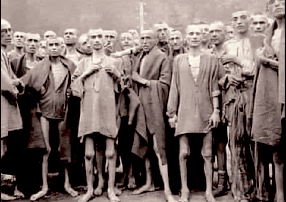 These are the Israelis in 1940. They came to Palestine from Germany🇩🇪 under Hitter’s oppression in 1940 and took refuge in Palestine🇵🇸

Now they claiming all Palestine is their.
#FreePalastine