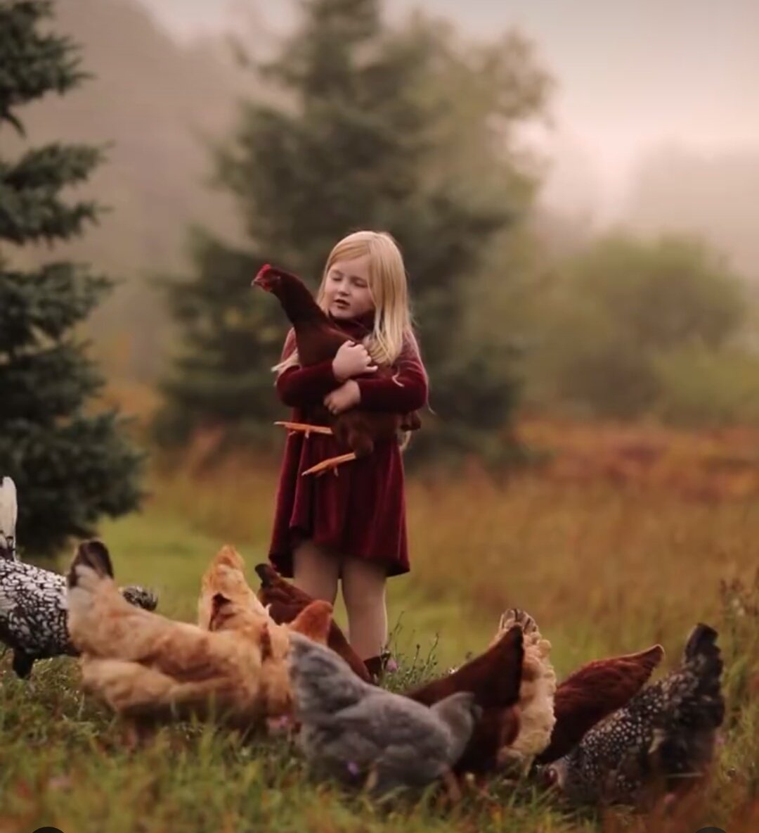 Marcelagutie212's tweet image. Pronto #minene #Bendiciones