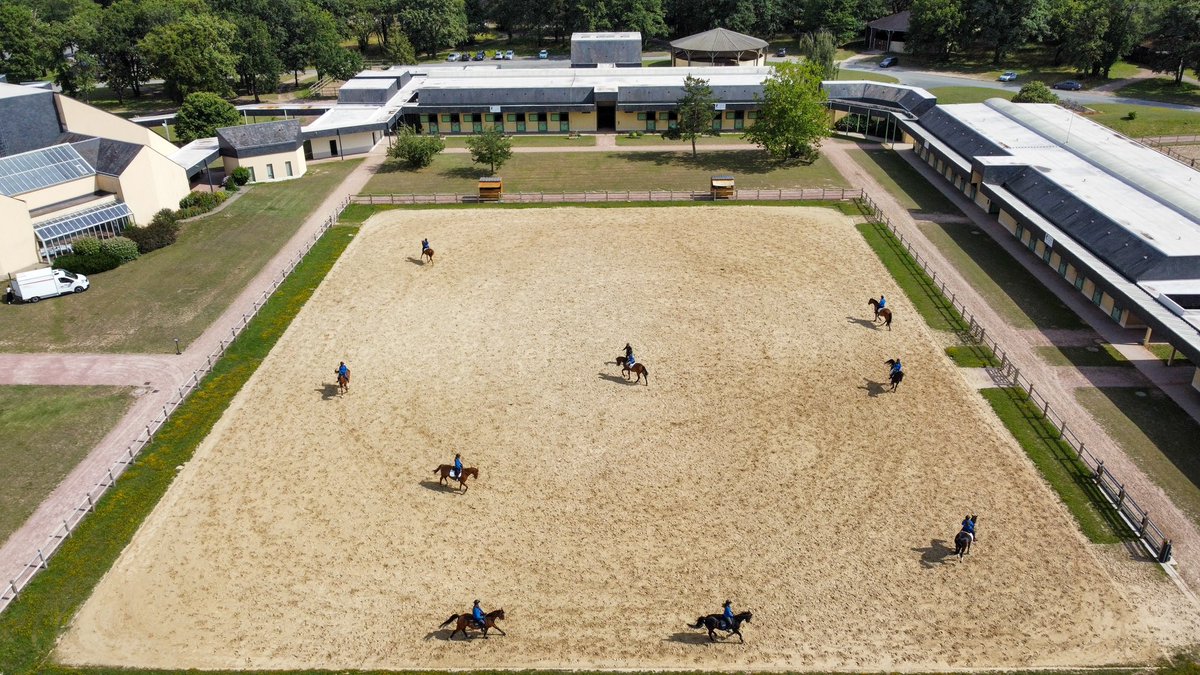 Depuis 2011, l'équitation de tradition française est inscrite sur la liste du patrimoine culturel immatériel de l'humanité. 🐴🇫🇷

Cette filière d’excellence doit être préservée et soutenue. 

C’est pourquoi, après plusieurs années de négociations au niveau européen, la France a