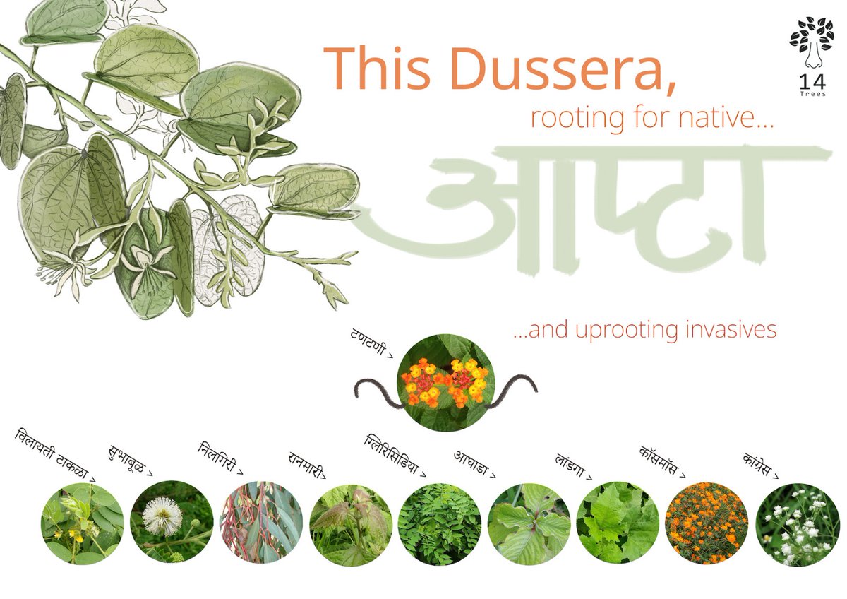 Happy Dussehra to all friends. Let goodness prevail over the evil.